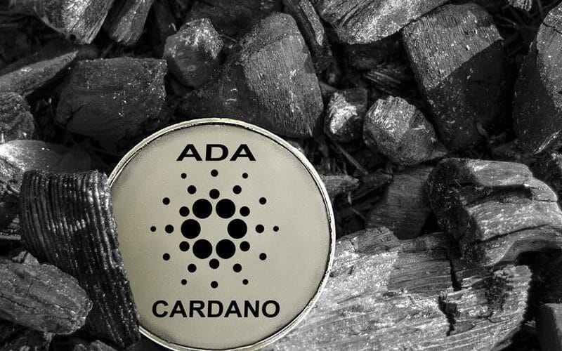 Cardano on the Right Track, but Needs Time to Sparkle