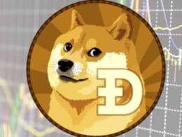 Dogecoin Has Had a Reality Check, but There’s Room to Grow