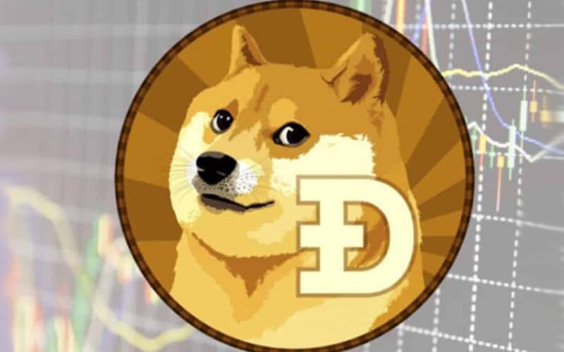 Dogecoin Has Had a Reality Check, but There’s Room to Grow
