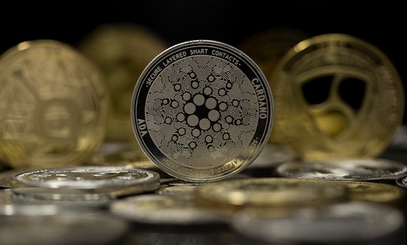 Cardano