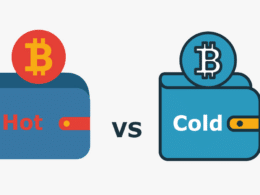 Is It Hot or Cold? The Different Types of Cryptocurrency Wallets