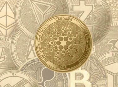 Trader’s Preference for Cardano and Other Alts Firms as Bitcoin Rally Fizzles