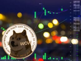DOGE Coin Price Prediction