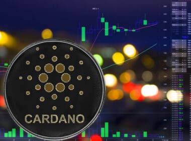 Cardano's Staking Wallets Increase