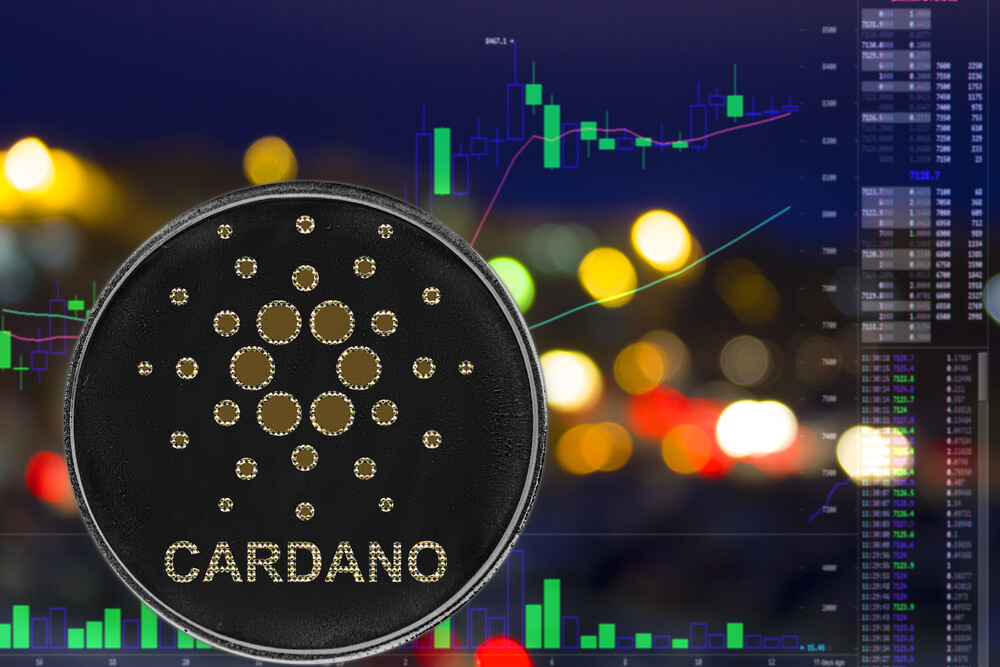 Cardano's Staking Wallets Increase