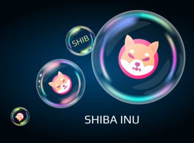 AMC Theaters to add Shiba Inu