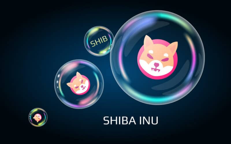 AMC Theaters to add Shiba Inu