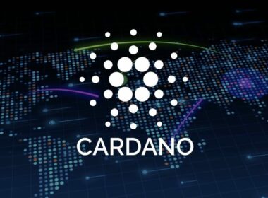 Cardano's stablecoin hub