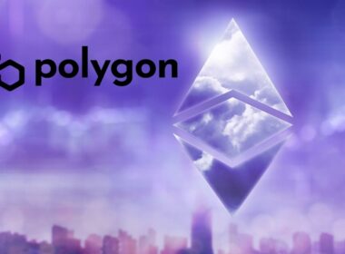 Investing in Polygon
