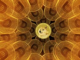 Top 5 DOGE Killers: Why They Are Overtaking Dogecoin