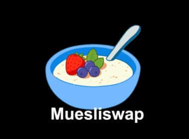 Muesliswap Decentralized Exchange Review