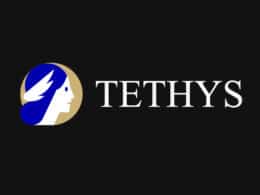 Tethys Finance Decentralized Exchange