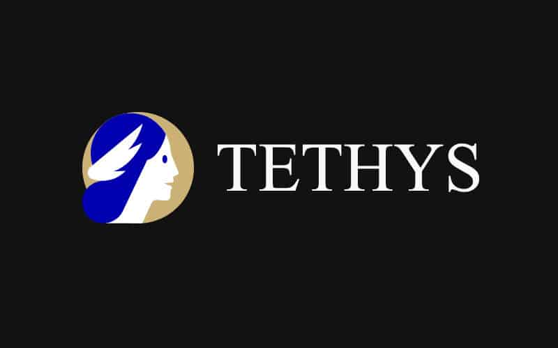 Tethys Finance Decentralized Exchange